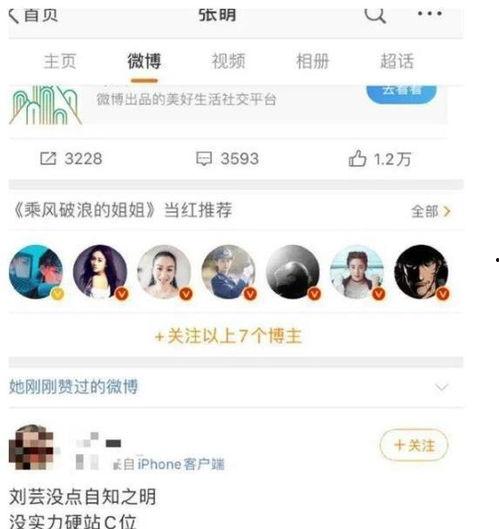 娱乐吃瓜酱站的高度不同,揭秘娱乐吃瓜酱站不同高度下的视角奇观