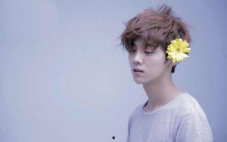 娱乐圈吃瓜爆料鹿晗热巴